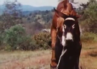 Fisting bestiality xxx