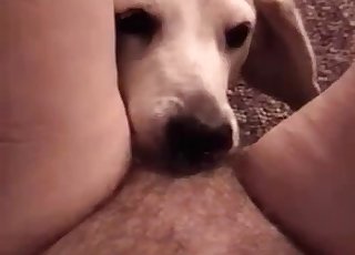 Doggy licks my wide-opened snatch