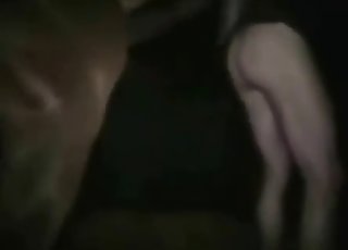 Cute brown horse in amazing animal sex