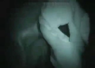 与我的马完美地度过了一个人兽交之夜