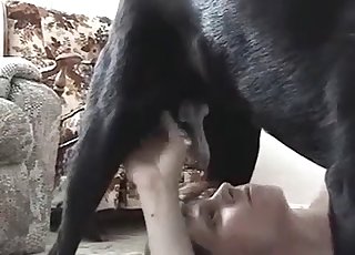 Black dog fucked her wet tight cunt