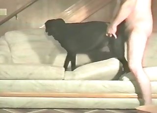 Dude carefully entering that dog's hole