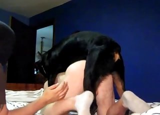Dog fucks my brother from behind in bed