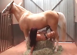 Stunning hardcore bestiality XXX with a stallion