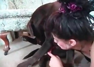 Dirty zoophile and two adorable doggies having fun