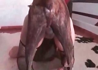 Passionate doggy fucking her wet tight hole