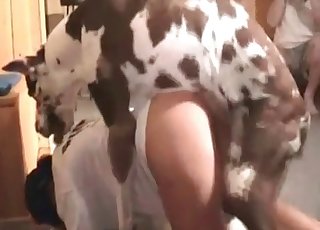 Black-haired beauty fucked by a trained beast