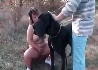 Dog fucking a fat whore outdoors