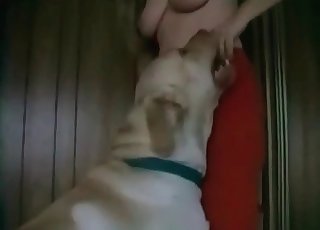 White dog is being created for bestiality XXX