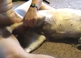 Fantastic teasing for a very kinky pooch