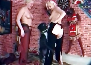 Blondes with big tits fucked by labrador