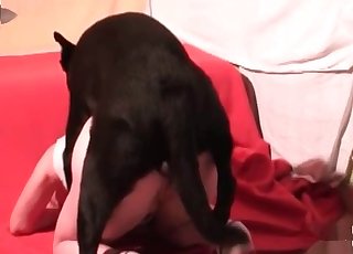 Extreme close-up bestiality here