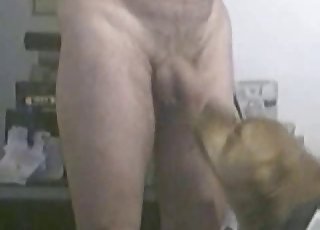 Dude with hard dick and his doggy