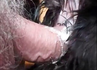 Doggy is getting an amazing anal creampie by a male zoophile