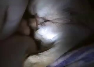 白い犬は私の巨大なペニスに値する