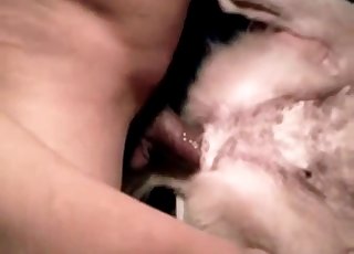 Owner slowly drills his lovely doggy