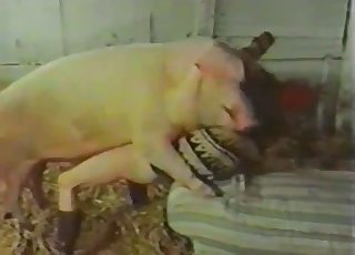 Pig Fucked