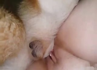 Amateur pussy ruined on camera