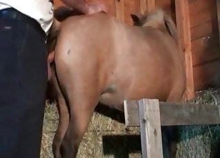 Awesome anal sex with a trained animal