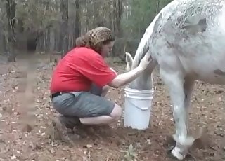 White stallion in stunning farm animal sex