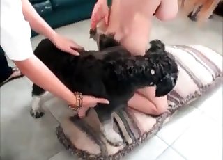 Big-tit zoophile nailed by a bowwow