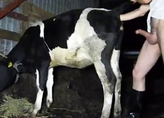 Un tipo se folla a su vaca sexy por detrás