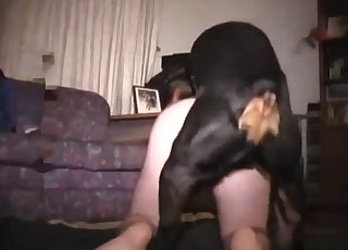 Doggy style fuck s strastnim psom