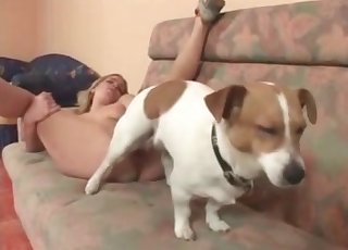 Small pussy fucked by a white dog