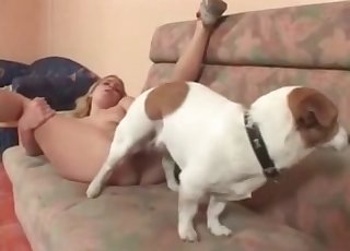 Small pussy fucked by a white dog