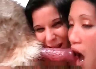 Doggy cock and nasty brunette