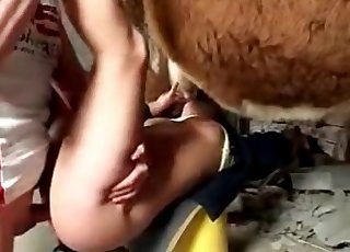 Stallion and a lustful zoophile bitch