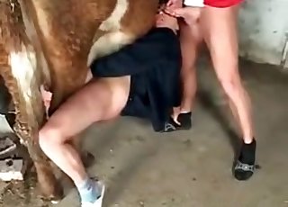Stallion and a lustful zoophile bitch