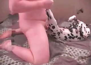 Dude fucking a sexy dalmatian