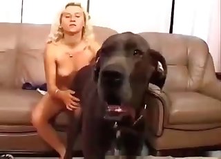 Cute black dog and amazing blonde having sex
