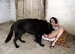 Black dog eats her wide-opened vagina