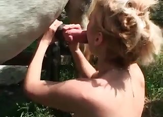 Horse blowing a huge load