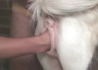 Sticking his cock deep inside of that pussy