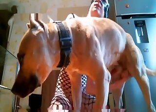 Fishnet bodysuit babe and her dog