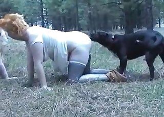 Animal sex for a couple of fatties