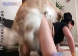 Close-up action with a very hot animal