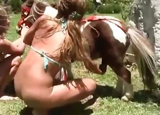 Amazing pony nicely sucked by horny zoofil