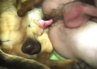 Gorgeous doggy drilled a tight snatch
