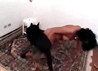 Extremely hot sex with a sexy pooch