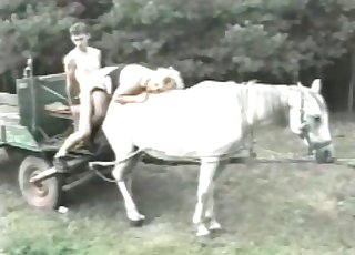 Gorgeous couple fucking on a sexy white horse