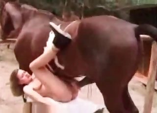 Stunning brown horse nicely fucked her cunt