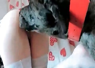 Stunning homemade pound session with animal