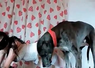 Stunning homemade pound session with animal