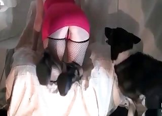 Redhead hottie fucks with nice doggy