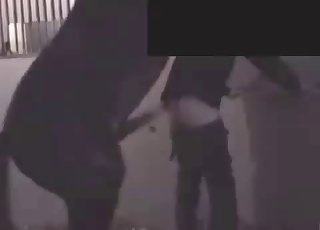 Ekte hingst og bonde knuller i doggy positur