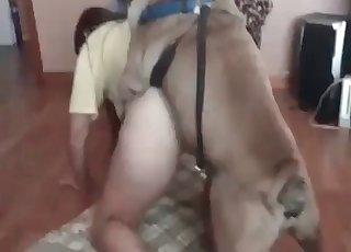 Puppy is getting in the awesome bestiality XXX